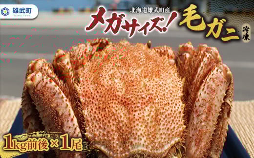 北海道雄武町産メガサイズ！毛ガニ(冷凍)1kg前後×1尾【1237801】
