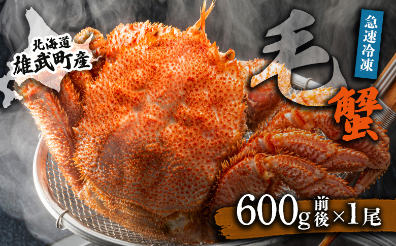 【北海道雄武町産】毛がに（冷凍）(600g前後×1)【1240701】