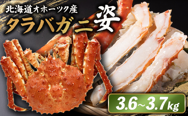 北海道オホーツク産 冷タラバガニ姿　3.6～3.7kg【12418】