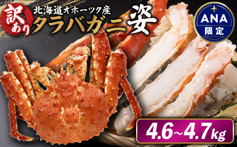 《ANA限定》北海道オホーツク産 《訳アリ》冷タラバガニ姿　4.6～4.7kg【12429】