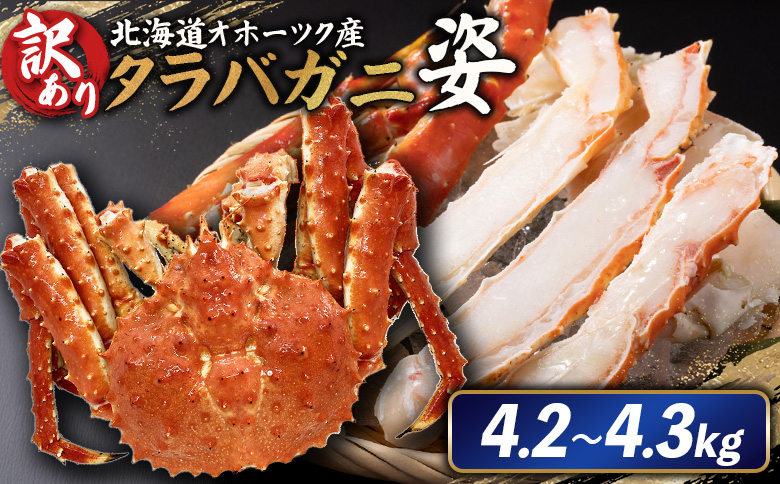 北海道オホーツク産 《訳アリ》冷タラバガニ姿　4.2～4.3kg【12431】