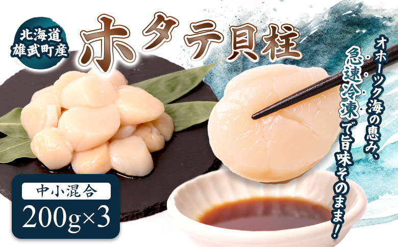 北海道雄武町産ほたて貝柱 中小混合 200g×3 (冷凍) 使い切りパック【0713404】