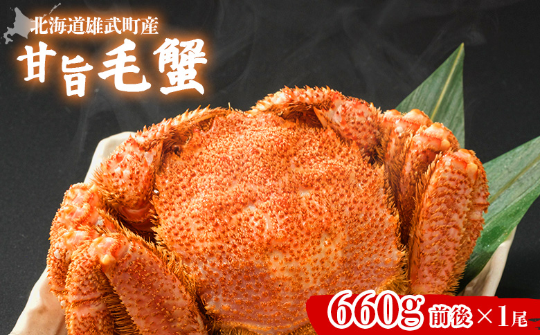 【北海道雄武町産】甘旨毛蟹 660g前後1尾【07181】