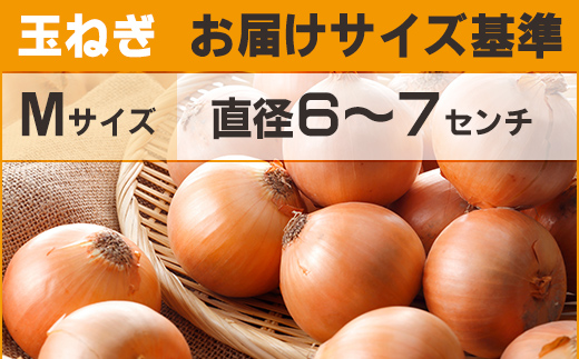 【先行予約】玉ねぎ Mサイズ 20kg 大空町産（2026年10月上旬より発送） OSR010