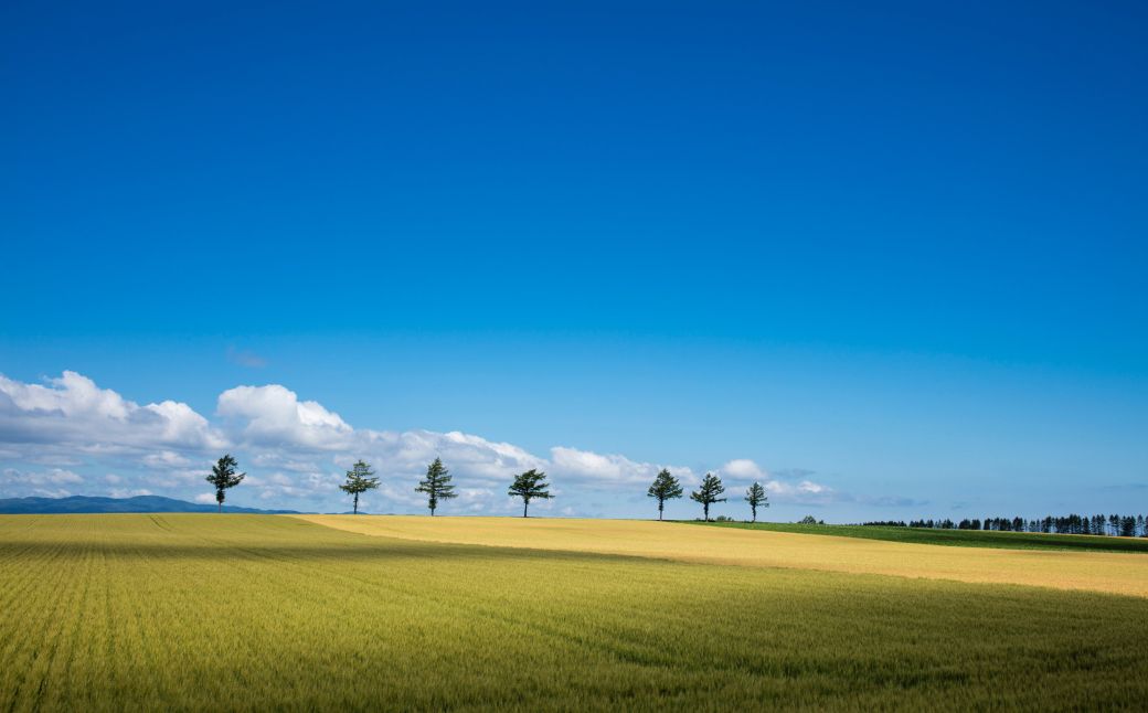 【北海道大空町】旅行割引クーポン券30,000円分 OST003