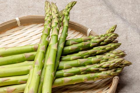 【5/15から順次発送 先行受付】産地直送グリーンアスパラ 収穫から24時間以内に発送 OSB001