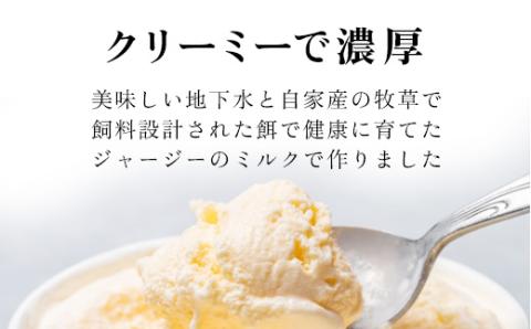 プレミアムジャージーミルクアイスクリーム OSX001
