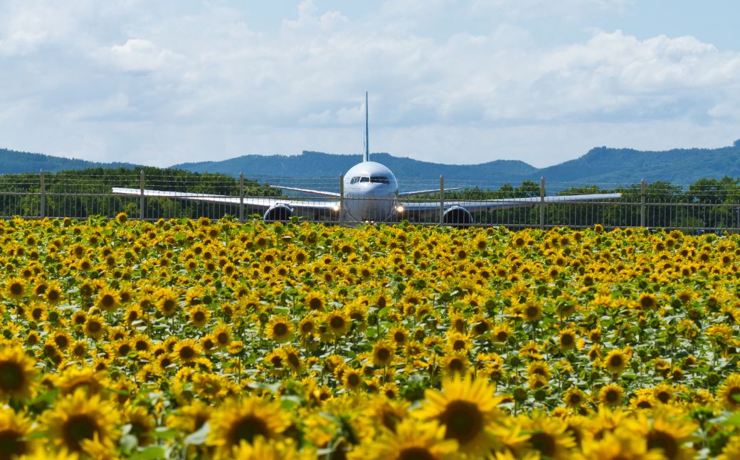 【北海道大空町】旅行割引クーポン券45,000円分 OST004