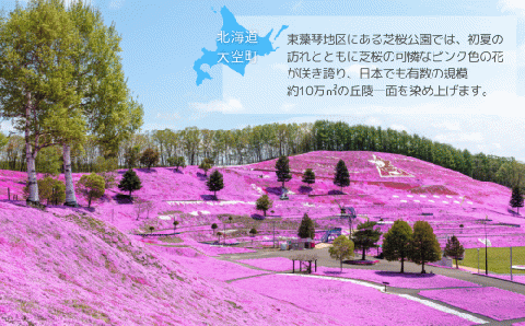 【12/15までのご入金で年内発送】オホーツクポーク贅沢詰合せ9種 OSE004