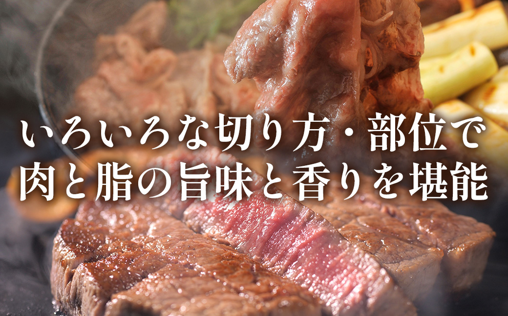 知床牛ステーキ・すき焼きセット（ロースステーキ約150g×2枚、カタ・モモすき焼き各約250g） OSG007