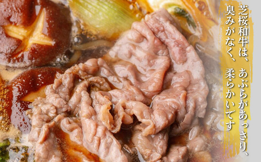 黒毛和牛(芝桜和牛)切り落とし 500g（250g×2） OSG013