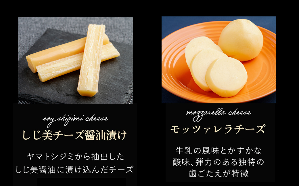 チーズオールスターズお試しセット OSA006