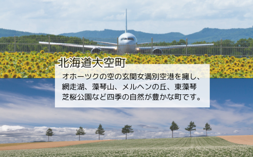 【先行予約】玉ねぎ Mサイズ 20kg 大空町産（2026年10月上旬より発送） OSR010