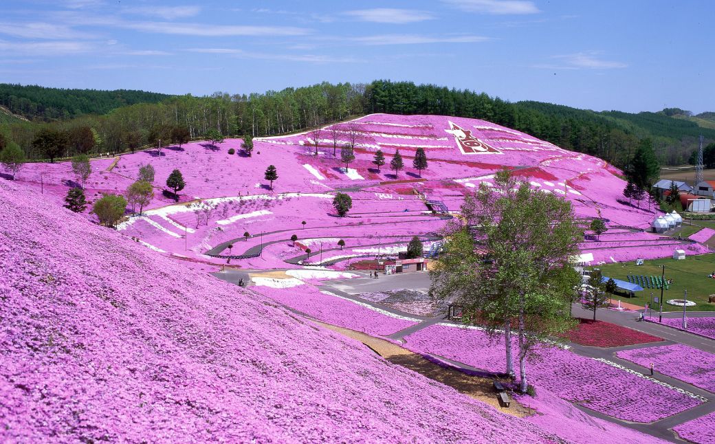 【北海道大空町】旅行割引クーポン券15,000円分 OST002