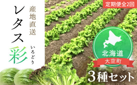 【定期便】レタス彩(いろどり)3種セット全2回（2025年9月より順次発送） OSU002