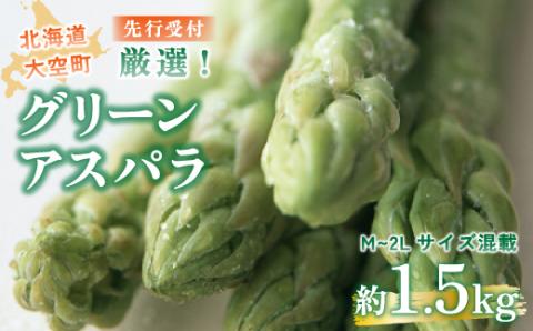 【先行受付】厳選！グリーンアスパラ1.5kg（M～2Lサイズ混載） OSA013