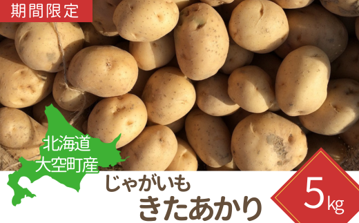 [期間限定]北海道大空町産じゃがいも(きたあかり)5kg OSA037 | じゃがいも じゃがいも じゃがいも じゃがいも じゃがいも じゃがいも じゃがいも じゃがいも じゃがいも じゃがいも じゃがいも じゃがいも じゃがいも じゃがいも じゃがいも じゃがいも じゃがいも じゃがいも じゃがいも じゃがいも じゃがいも じゃがいも じゃがいも じゃがいも じゃがいも じゃがいも