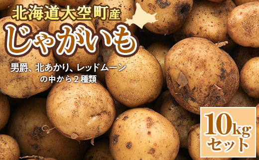 [数量限定]北海道産 じゃがいも 10kgセット 及び(込み玉、土付き) OSAA001 | じゃがいも じゃがいも じゃがいも じゃがいも じゃがいも じゃがいも じゃがいも じゃがいも じゃがいも じゃがいも じゃがいも じゃがいも じゃがいも じゃがいも じゃがいも じゃがいも じゃがいも じゃがいも じゃがいも