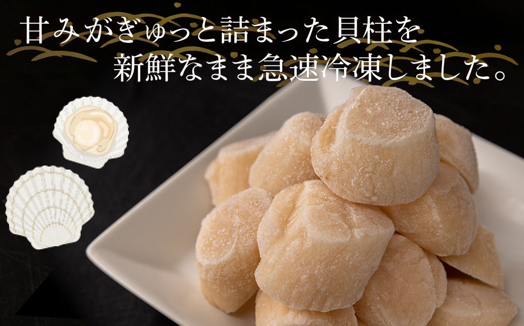 【禁輸に負けない】ホタテ 北海道 豊浦 噴火湾 礼文華 約500g 帆立 貝柱 2年貝 TYUAD002