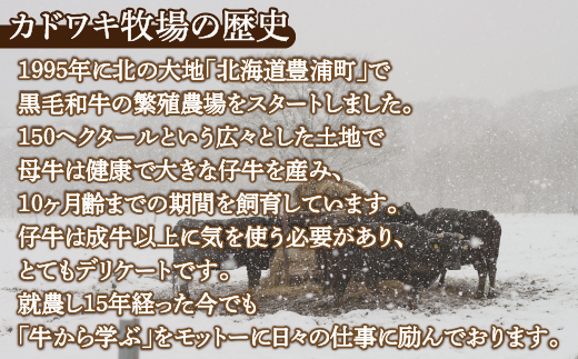 黒毛和牛 カドワキ牛 切り落とし 350～400g 牛肉 しゃぶしゃぶ すき焼き 冷凍 TYUAE001