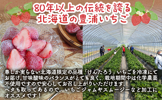 【2026年4月下旬以降出荷】豊浦いちご 冷凍いちご 2kg TYUAH002