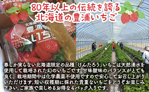 【2026年4月下旬以降出荷】豊浦いちご　250ｇ×4パック TYUAH003