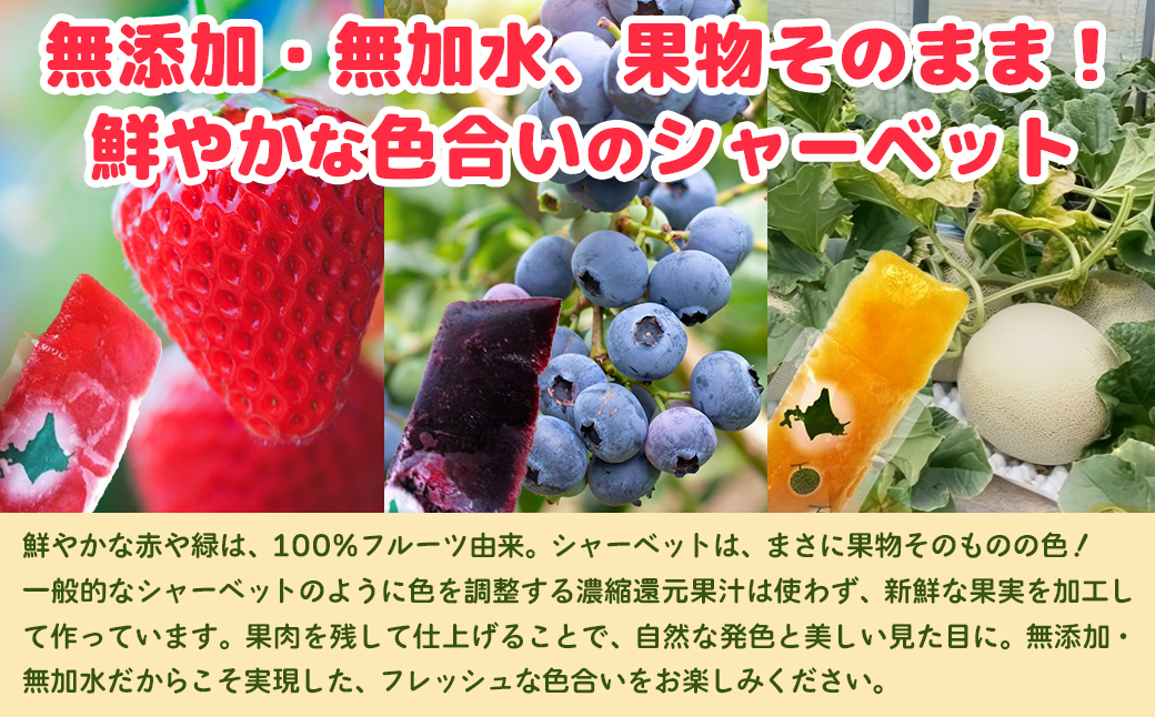 北海道 豊浦町 ブルーベリー いちご メロン シャーベット 5本×3種 TYUN017