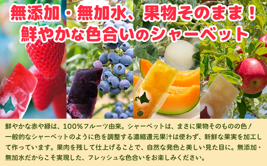 北海道 豊浦町 シャーベット 4種 味くらべ 各8本ずつ（ ブルーベリー、いちご、メロン、りんご ） TYUN020