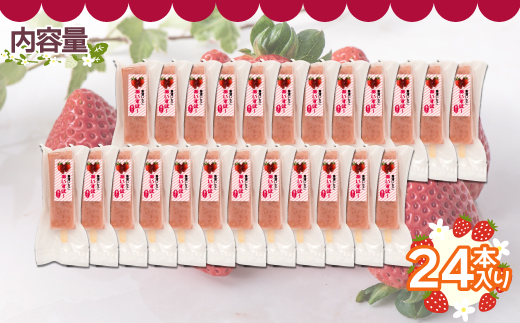 北海道 豊浦町 いちご アイス バー 24本 TYUN022