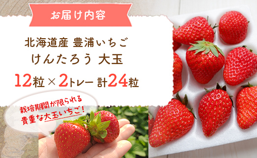 【2026年4月下旬以降出荷】豊浦いちご 大玉12粒×2トレー TYUAH001