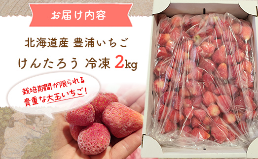 【2026年4月下旬以降出荷】豊浦いちご 冷凍いちご 2kg TYUAH002
