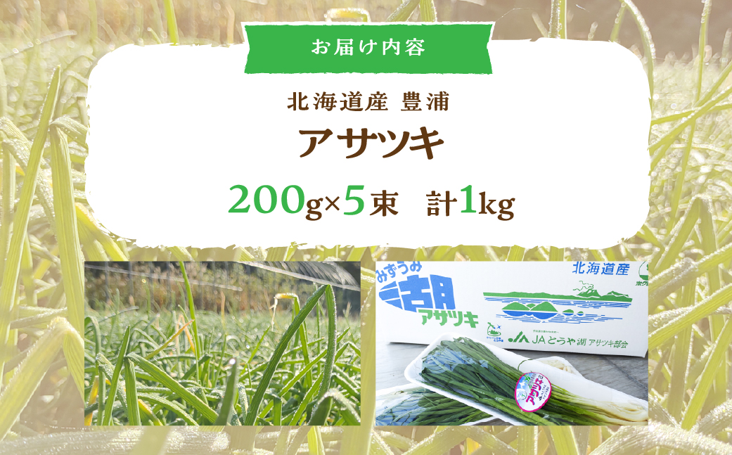 北海道産アサツキ 1kg TYUAH004
