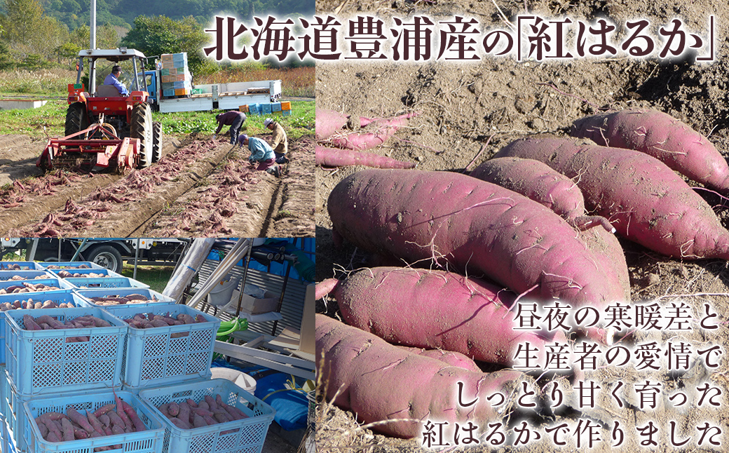 干し芋100g×2セット（北海道豊浦町産　紅はるか使用） TYUL030