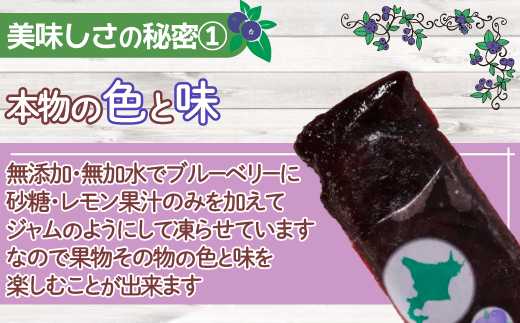 北海道 豊浦町 ブルーベリーシャーベット 20本 TYUN012