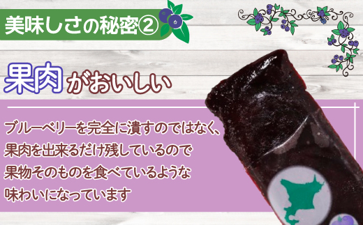 北海道 豊浦町 ブルーベリーシャーベット 30本 TYUN013