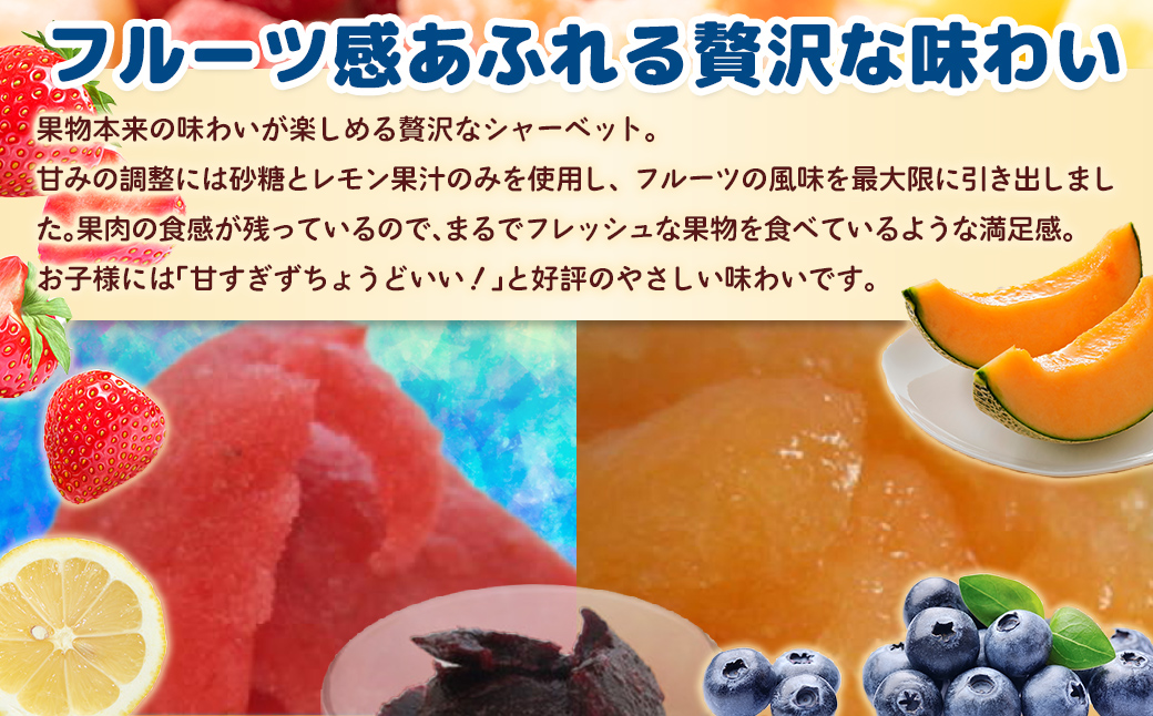 北海道 豊浦町 ブルーベリー いちご メロン シャーベット 5本×3種 TYUN017