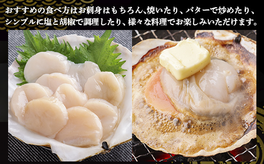 【先行予約】北海道 豊浦町 殻付き 2年貝 活ホタテ 約8kg（2026年1月から3月より順次発送） TYUP003