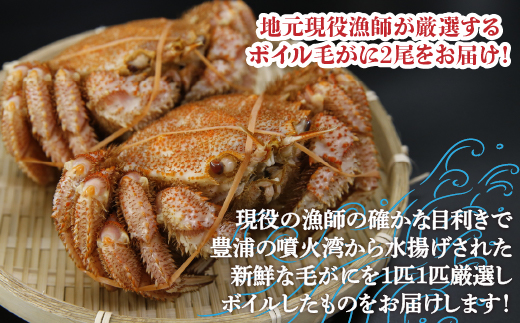 【2025年12月21日までの寄附で年内発送可】【地元現役漁師が厳選！！】ボイル・毛ガニ2尾（1尾300～400g）北海道 豊浦 噴火湾 TYUR006