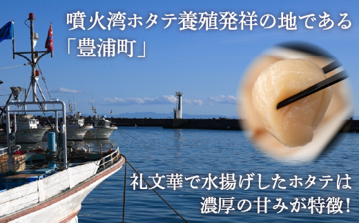 【禁輸に負けない】ホタテ 北海道 豊浦 噴火湾 礼文華 約500g 帆立 貝柱 2年貝 TYUAD002