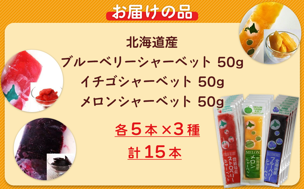 北海道 豊浦町 ブルーベリー いちご メロン シャーベット 5本×3種 TYUN017