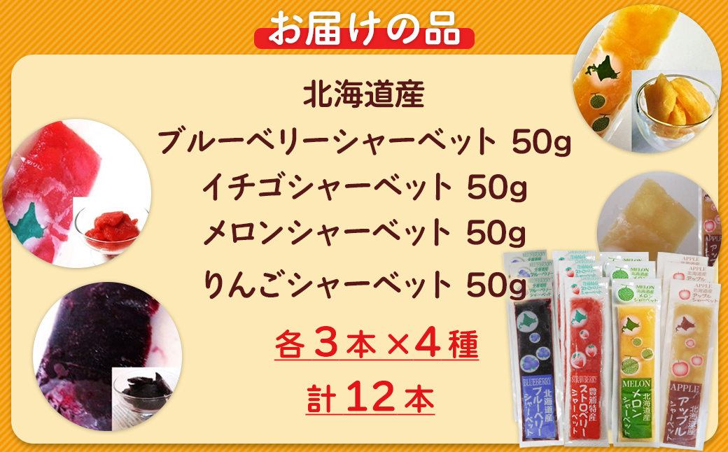 北海道 豊浦町 シャーベット 4種 味くらべ 各3本ずつ（ ブルーベリー、いちご、メロン、りんご ） TYUN018