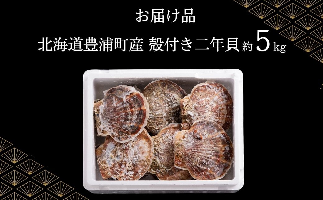 【先行予約】北海道 豊浦町 殻付き 2年貝 活ホタテ 約5kg（2026年1月から3月より順次発送） TYUP002