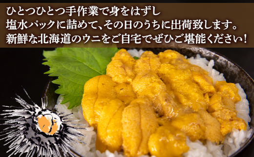 【令和8年度発送先行予約】うに 塩水 ムラサキウニ 80g×2パック 北海道 豊浦 噴火湾 雲丹【配送不可地域：離島】 TYUR021
