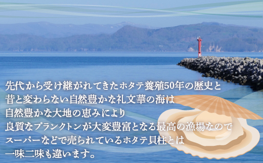 【禁輸に負けない】ホタテ 北海道 豊浦 噴火湾 礼文華 約1kg 帆立 貝柱 2年貝 TYUAD001