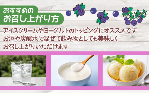 北海道 豊浦町 ブルーベリーシャーベット 10本 TYUN011