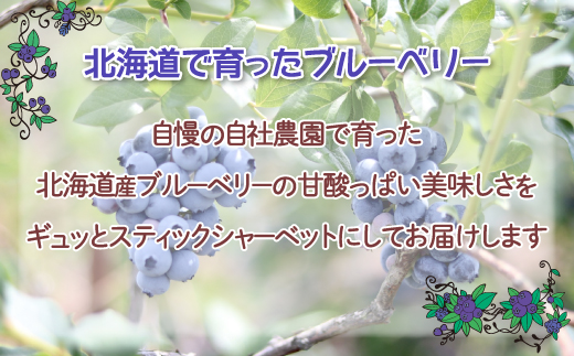 北海道 豊浦町 ブルーベリーシャーベット 30本 TYUN013