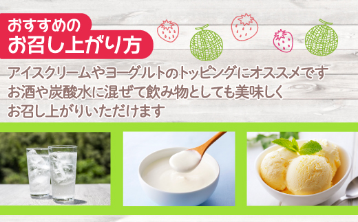 北海道 豊浦町 いちご・メロンのシャーベット 10本×2種 TYUN015