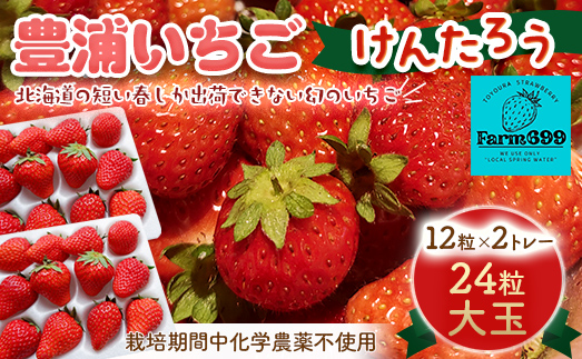 【2026年4月下旬以降出荷】豊浦いちご 大玉12粒×2トレー TYUAH001