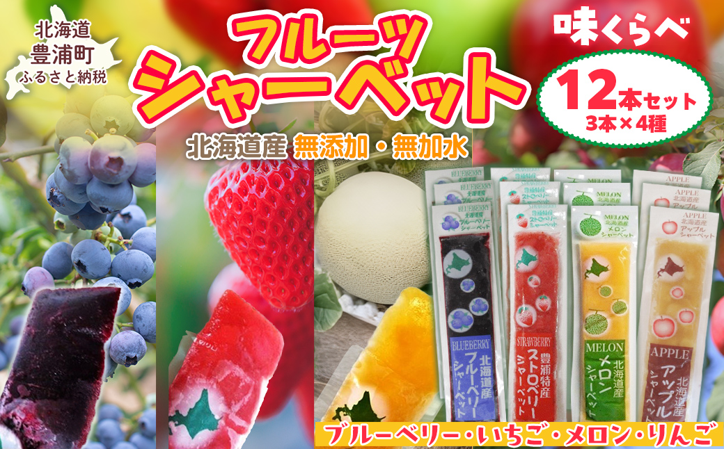 北海道 豊浦町 シャーベット 4種 味くらべ 各3本ずつ（ ブルーベリー、いちご、メロン、りんご ） TYUN018