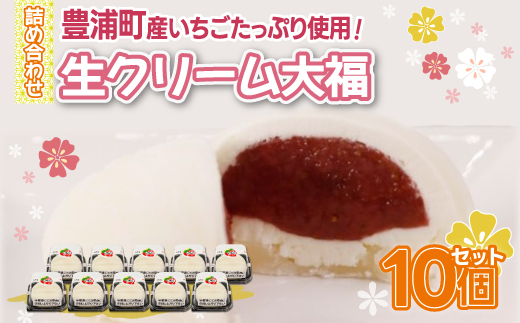 北海道 豊浦町 生クリーム大福いちご 10個 TYUN032